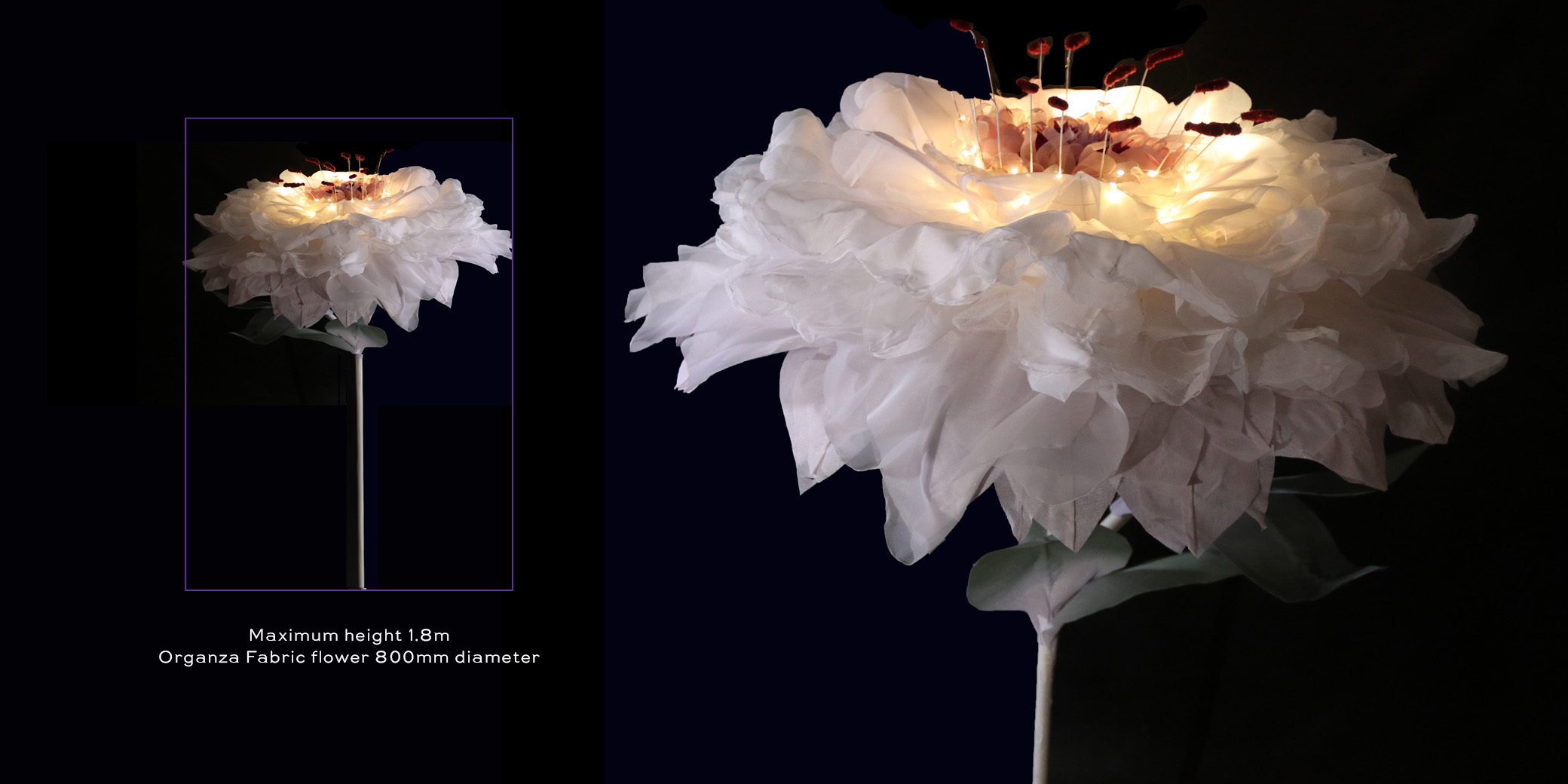 Extra large organza fabric chrysanthemum flowers